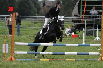 Bild 1417 - WBO-Turnier am 18.9.11